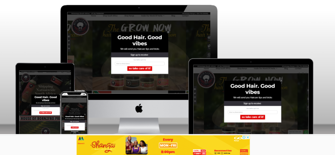 Website for Born2Fro 1 I have always opted to live life more naturally, from fitness to food; my natural hair Journey is no exception. I am that person that would read the ingredient list and Google it, so i found it rather shocking that many so called “natural” hair products were loaded with toxins. There should be a better way to make a sister’s FRO pop without the dangerous chemicals – Right?
