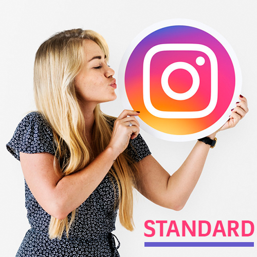 Standard 15 days Instagram Management Service